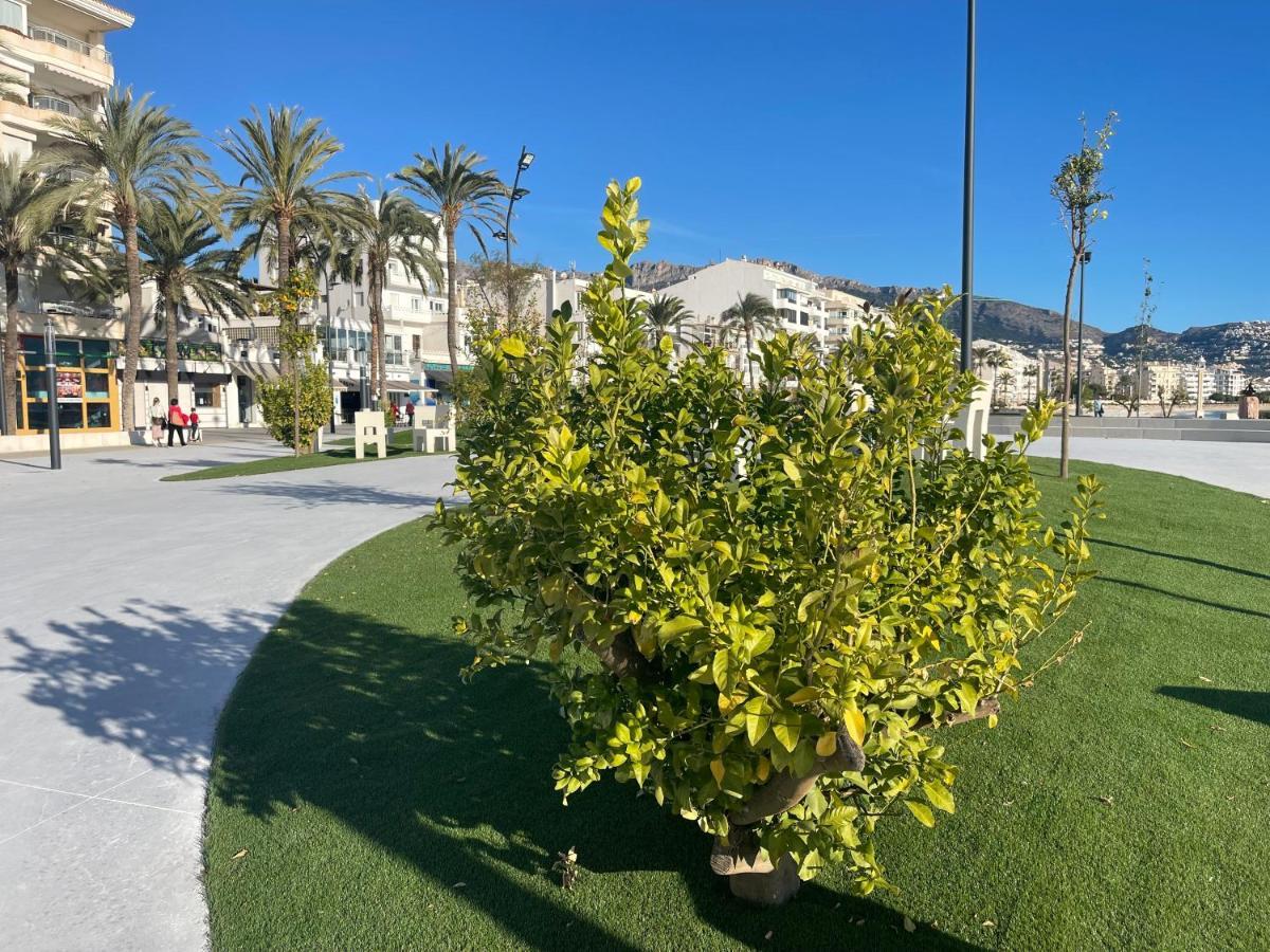 Apartamento Alteagroup Centro المظهر الخارجي الصورة